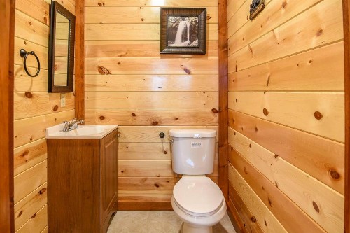 SmokyStays Indoor Pool Cabin - image 5