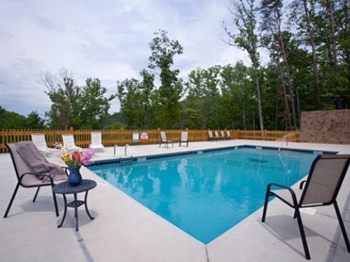 Songbird 1 Bedroom Honeymoon Cabin - image 1