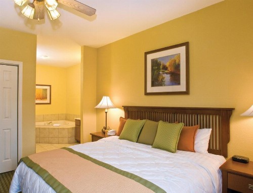 Warm and Beautifully Furnished One Bedroom Condo in Sevierville - image 3