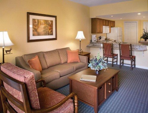 Warm and Beautifully Furnished One Bedroom Condo in Sevierville - image 6