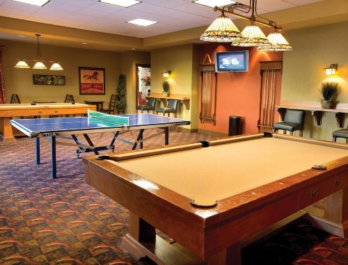 Warm and Beautifully Furnished One Bedroom Condo in Sevierville - image 9