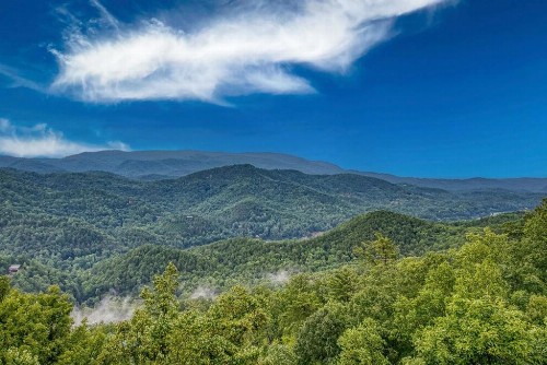 Eagles View - image 30