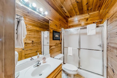 Mountain Lake Lodge - image 13