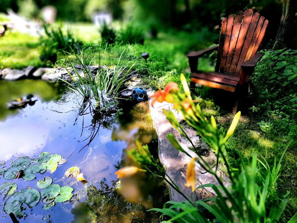 Bear Paw Splash - main image