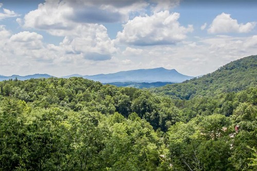 Bear Haven at Hidden Springs Resort - image 15