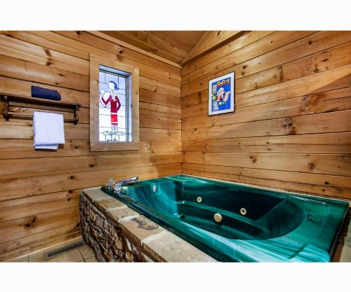 Romantic Mountain Shanty with Hot Tub and Fireplace - image 13