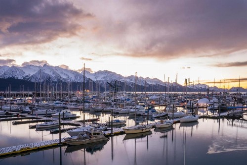 Harbor 360 Hotel Seward - image 6