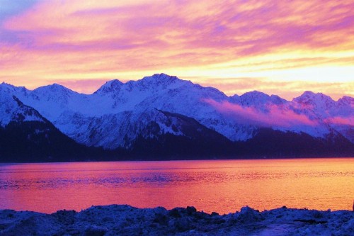 Arctic Paradise B&B - image 13