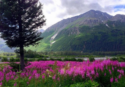 Arctic Paradise B&B - image 17