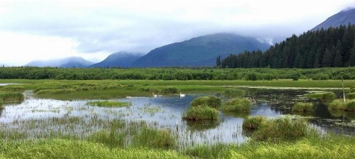 Arctic Paradise B&B - image 26