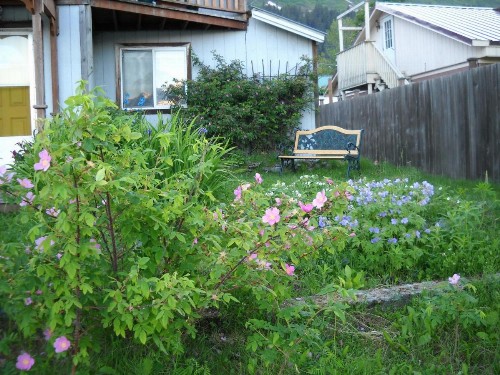 Arctic Paradise B&B - image 32