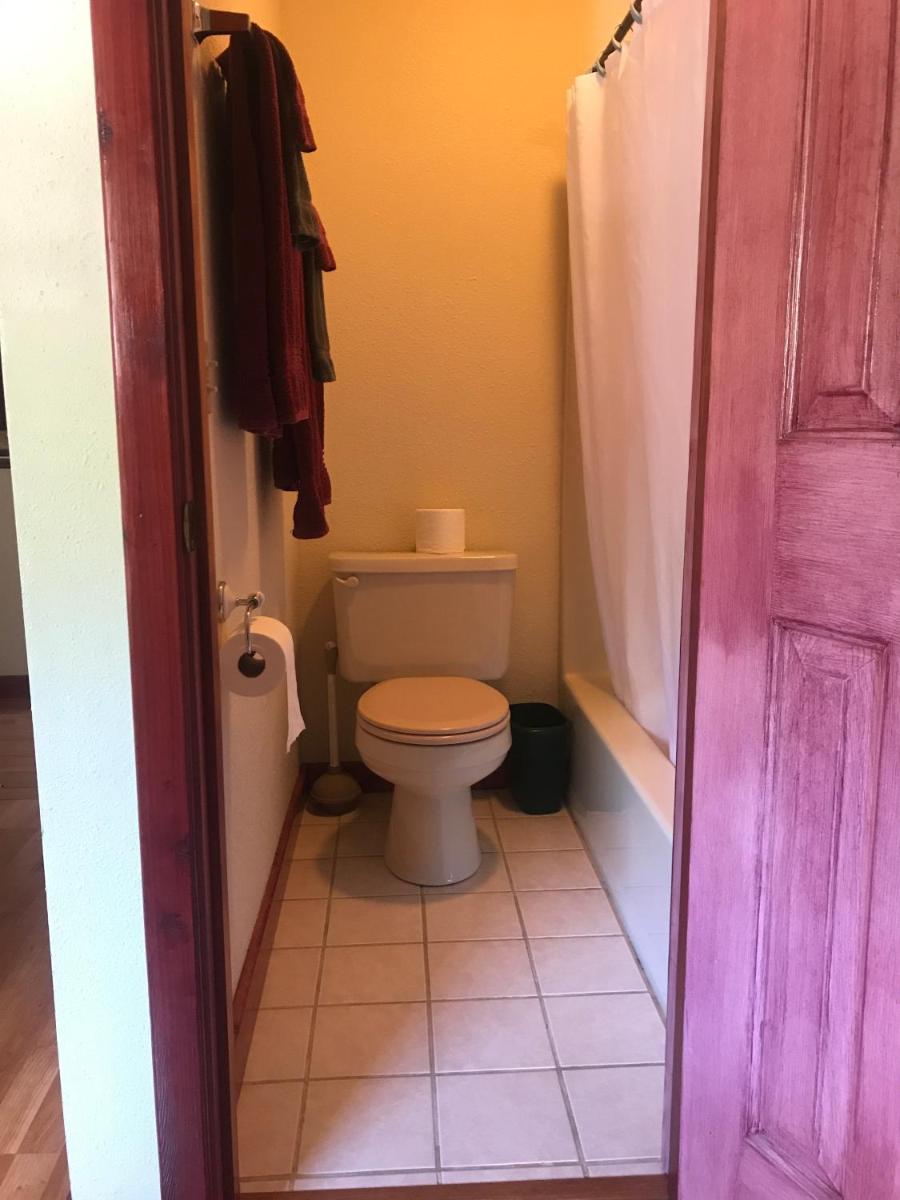 Northern Nights B&B - image 5