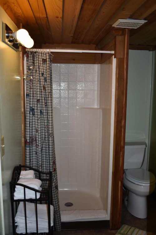 Exit Glacier Lodge - image 48
