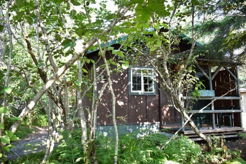 Exit Glacier Lodge - image 49