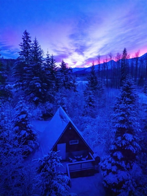 Glacier Creek Cabins - image 25