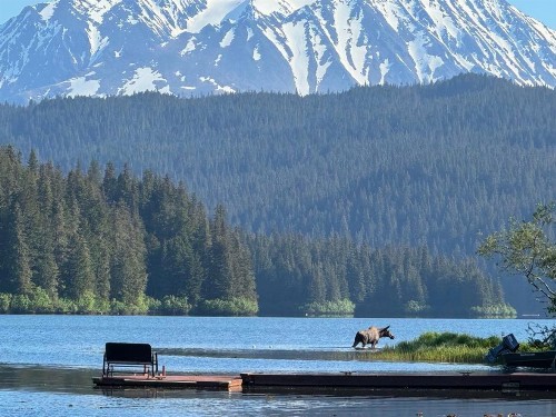Bear Lake Lodgings B&B - image 11