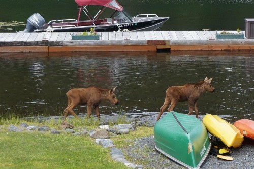 Bear Lake Lodgings B&B - image 14