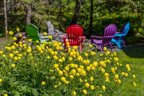 Steller Inn - image 25