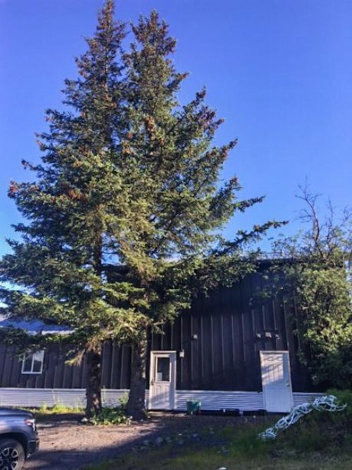 The Vue B&B - image 13