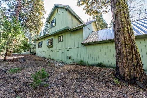 Paw's Cabin - image 7