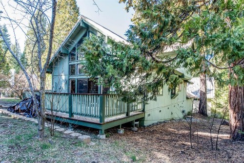 Paw's Cabin - image 8