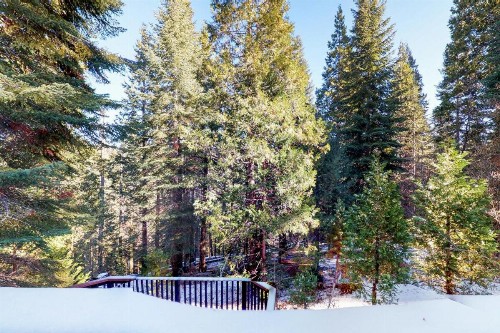 New England Cottage - image 7