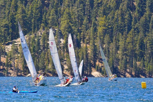 Whispering Pines - image 11