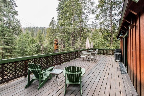 Shaver Village Chalet - image 8