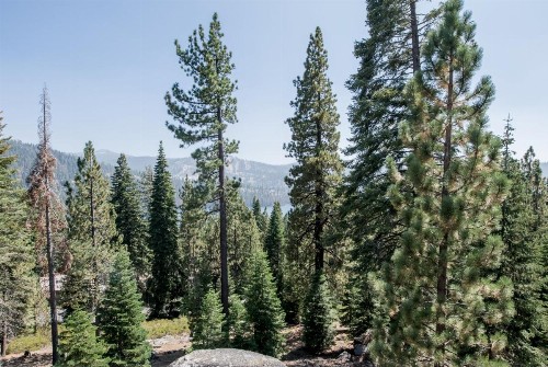 Eagles Nest Condo #88 - image 6