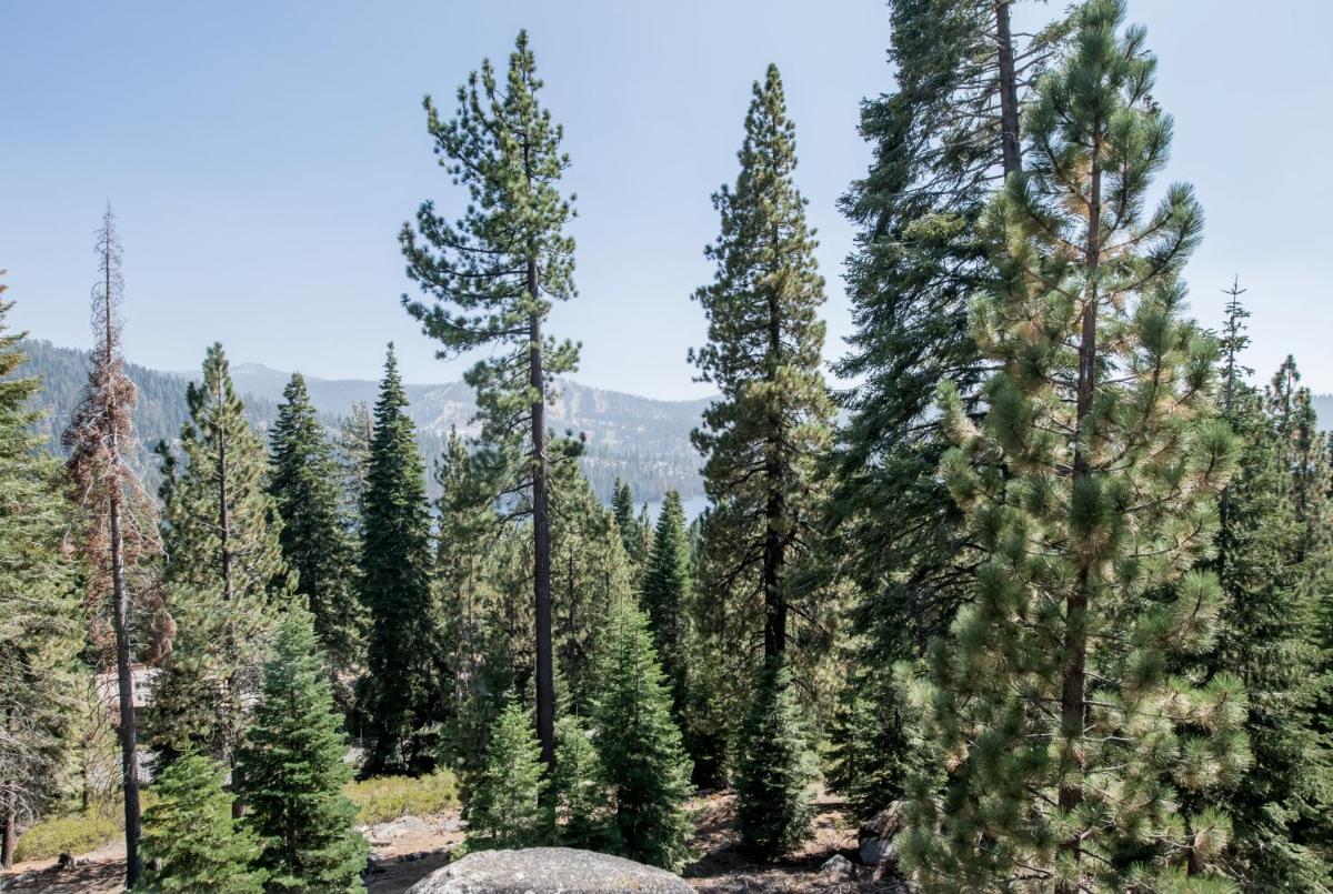 Eagles Nest Condo #88 - image 6