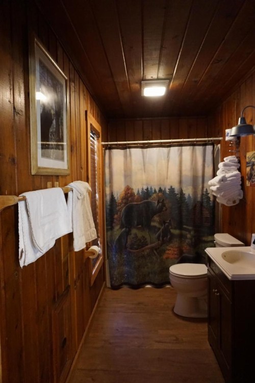 Shaver Lake Village Hotel - image 15