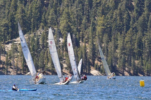 Tamarack Dream - image 11