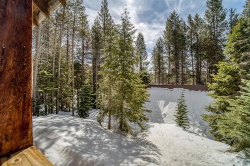 Tamarack Dream - image 12