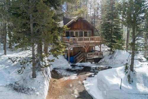 Tamarack Dream - image 6