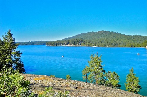 Smoke Tree Hollow - image 7
