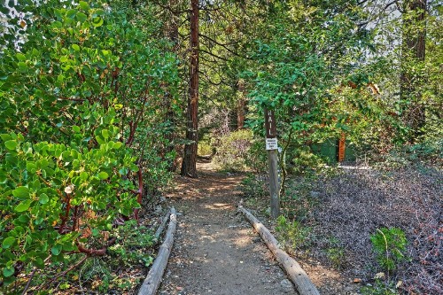 Shaver Lake Cabin with Hot Tub Deck and Trail Access! - image 6