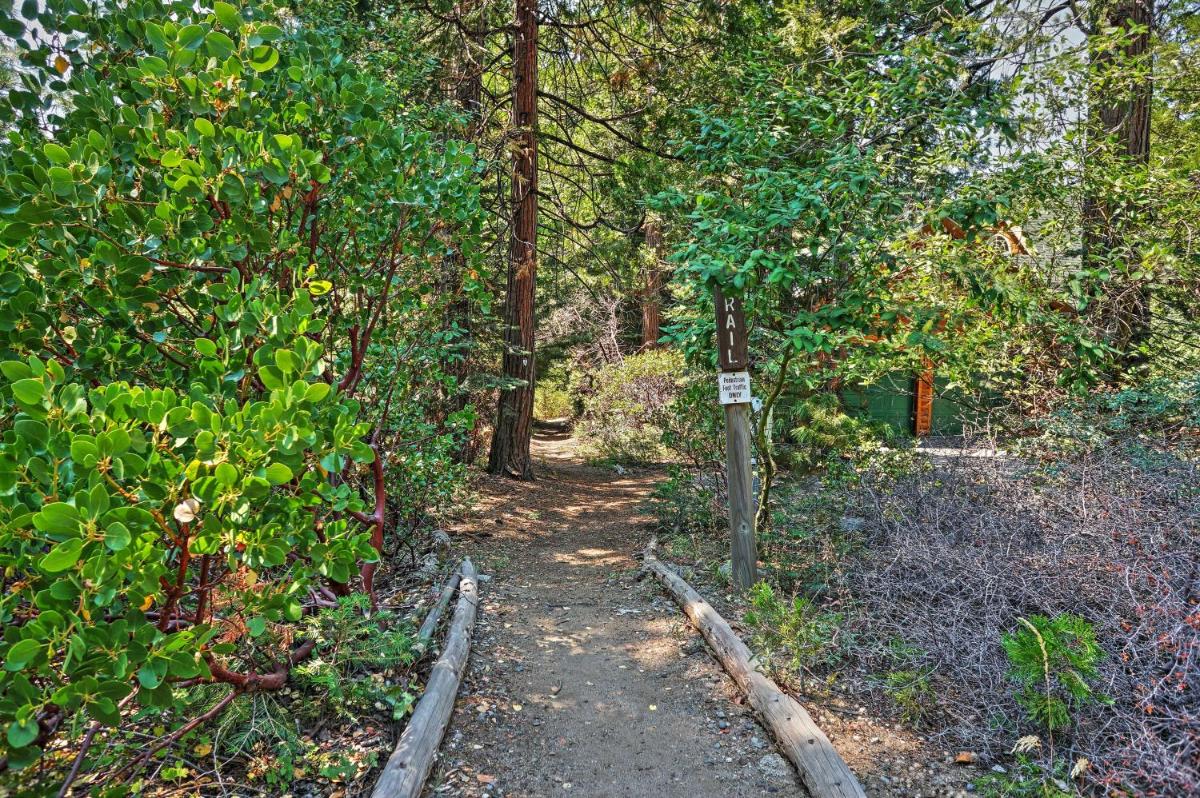 Shaver Lake Cabin with Hot Tub Deck and Trail Access! - image 6