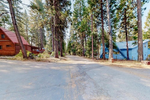 Williams Cabin - image 9