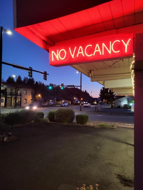 Shelton Inn - image 17