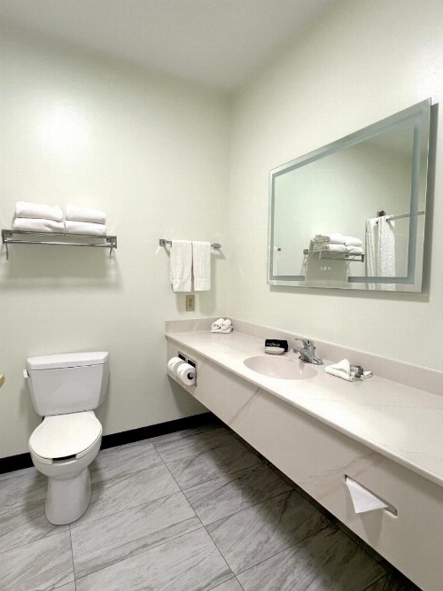 Van Buren Hotel - image 31