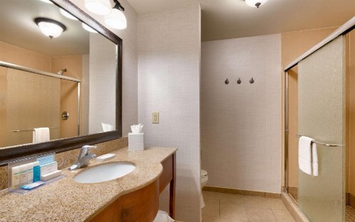 Hampton Inn & Suites Show Low-Pinetop - image 22