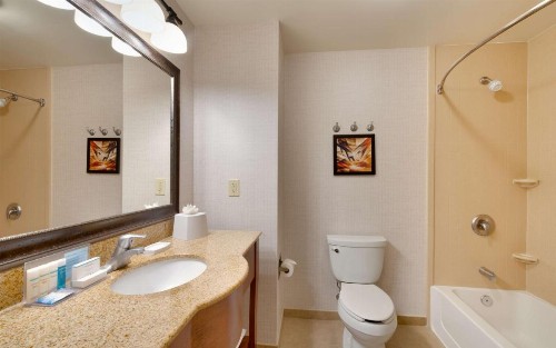 Hampton Inn & Suites Show Low-Pinetop - image 23