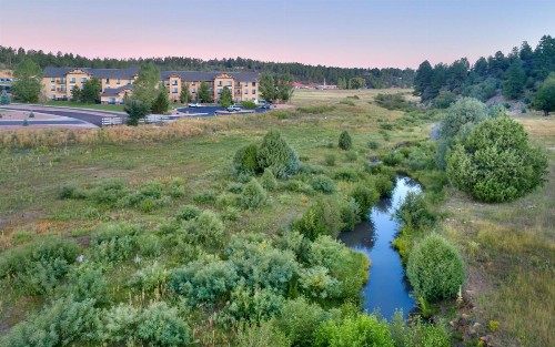 Hampton Inn & Suites Show Low-Pinetop - image 3