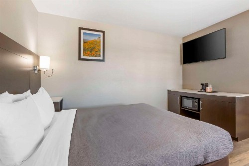 Quality Inn Show Low - image 5