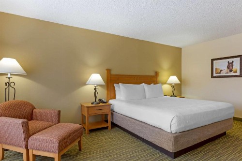 Best Western Paint Pony Lodge - image 16