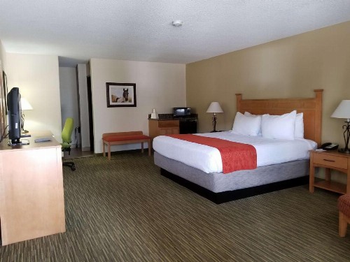 Best Western Paint Pony Lodge - image 33