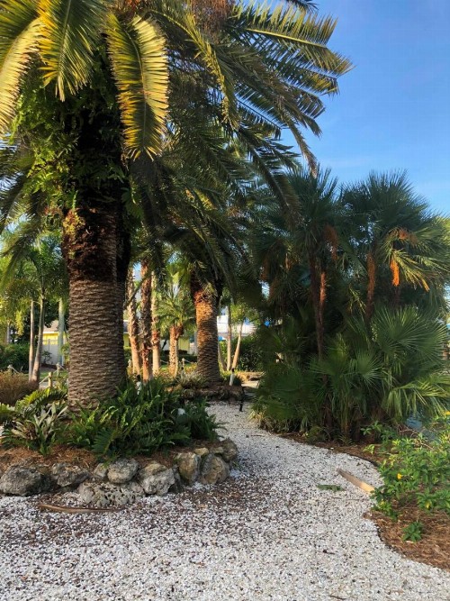 Captiva Beach Resort (open private beach access) - image 41