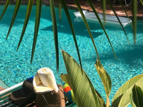 Siesta Palms By The Beach - image 28