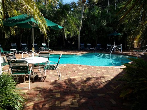 Siesta Palms By The Beach - image 43