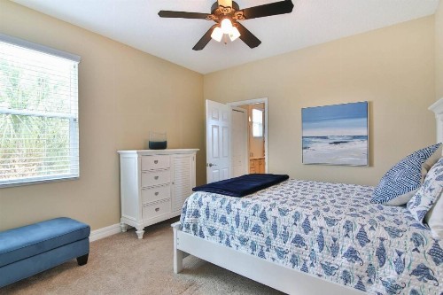 Blue Mermaid on Siesta Key - image 12